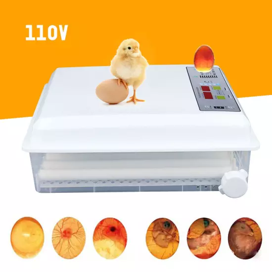 Egg Incubator 64 Eggs Fully Digital Automatic Hatcher Fits Hatching Chicken Farm