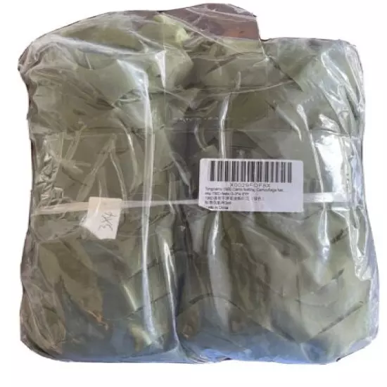 Tongcamo 150D Camo Netting Camouflage Net Hunting Blinds - Tree Camo Bionic 3x4