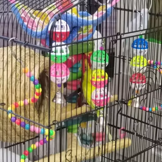 Colorful Pet Bird Chew Cage Toy for Parrot with Bells