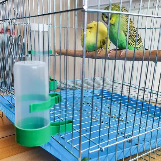 Automatic water fountain for birds Plastic Pet Supplies HOTS