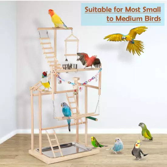 Birds Perch Playstand 4 Layers Large Breeds Medium Small Indoor Natural Pine