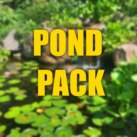 Pond Aquarium plant package Filled with Pond plants perfect for ponds