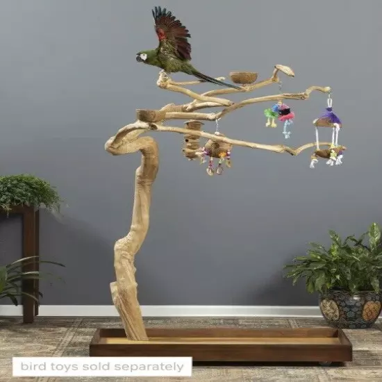 5ft Natural Sustainable Parrot Tree PlayStand / Gym! Macaw,African Grey,Cockatoo