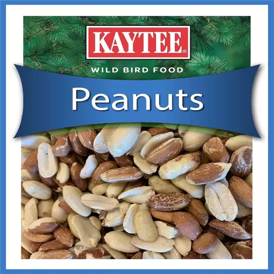 Shelled Peanuts for Wild Birds, 10 lb Bag