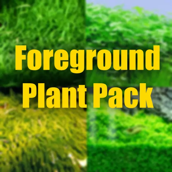 $20 Foreground Aquarium Plant Package organic grown foreground plants