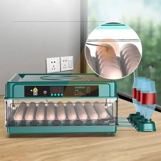 Electric 10/12/24/38 Egg Incubator Auto Turning Egg Bird Poultry Eggs Incubation