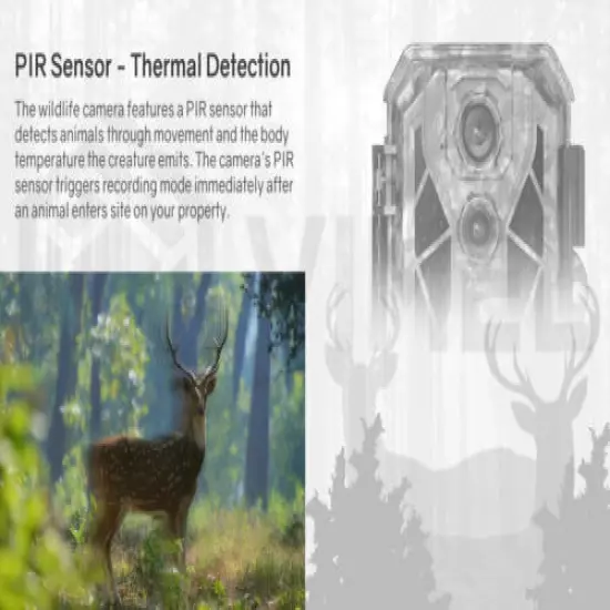 Hunting Outdoors 64GB Dual Trail Camera 32MP UHD 4K IR Night Vision PIR Sensor