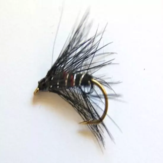 60 Assorted Classic Wet fly Fishing flies loch style Trout size 10- Dragonflies