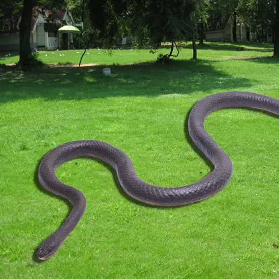 Snake Prank w/ String Clip, Snake on a String Prank That Chase People Toy