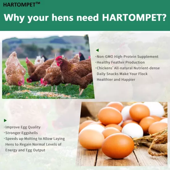 HARTOMPET Better Than Dried Mealworms for Chickens 5 lbs - 85X Calcium Than M...