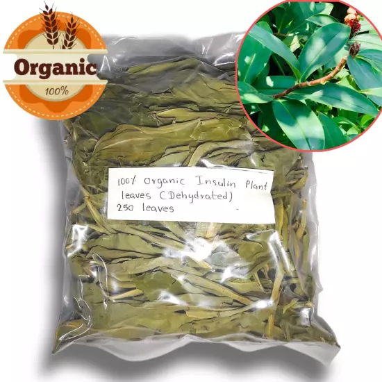 Ceylon Organic Insulin Plant Dried Leaves dried ( Costus Igneus ) Thebu