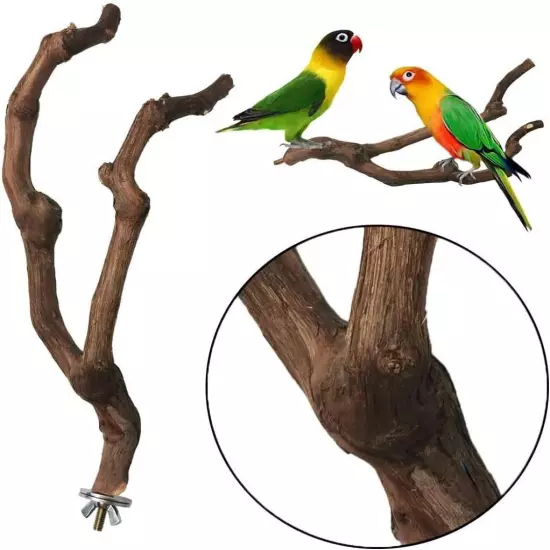 kathson Natural Parrot Perch Bird Stand Pole Wild Grape Stick Paw 4PCS 