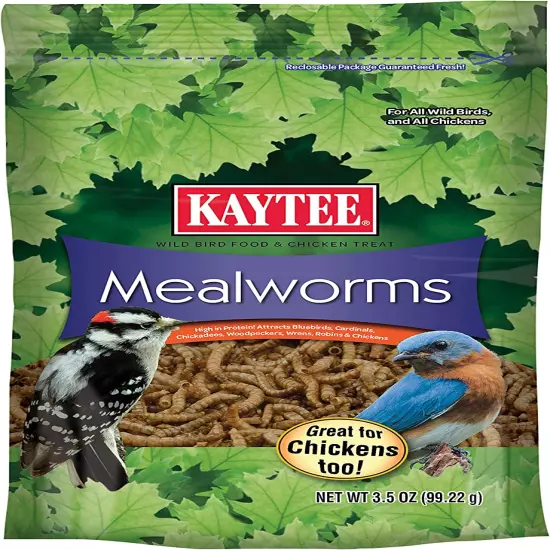 Wild Bird Food Mealworms for Bluebirds, Wrens, Robins, Chickadees, Woodpeckers, 