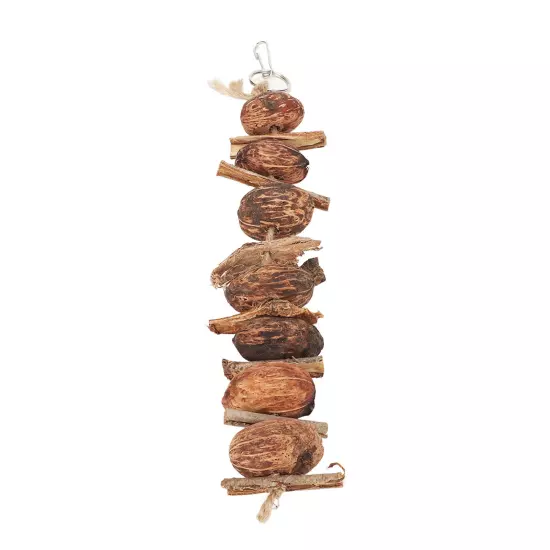 Nuts Parrot Toy Relieve Boredom Hanging Bird Bark Chewing String Toy For Pets