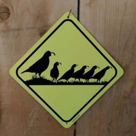 Quail Crossing Xing Symbol Highway Route Sign