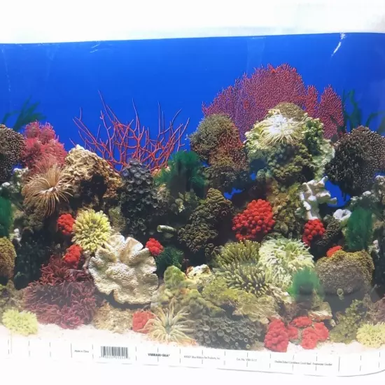 VibranSea Double-Back Aquarium Background Caribbean Coral Reef Freshwater Garden