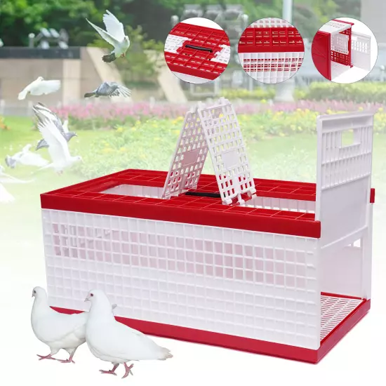 Racing Pigeon Carrier Box Bird Training Basket With 2 Side Doors 2 Top Doors Box