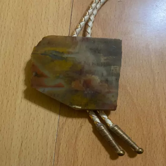 Bolo Tie Arizona Petrified Wood Handmade c.1950s 17.5" Vintage