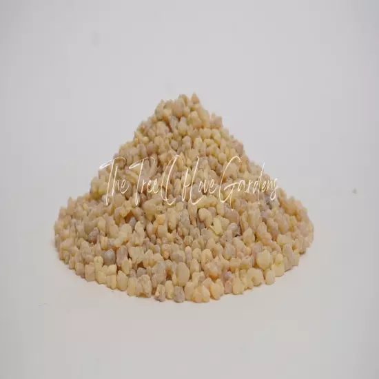 Frankincense Resin | Frankincense Tears | Boswellia Serrata