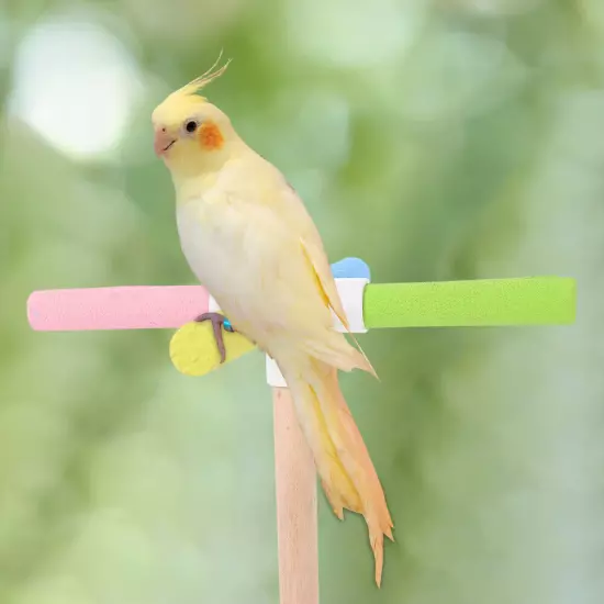 Bird Shower Standing Toy parrot toys swing Wood Parrot Stand Rod Birds