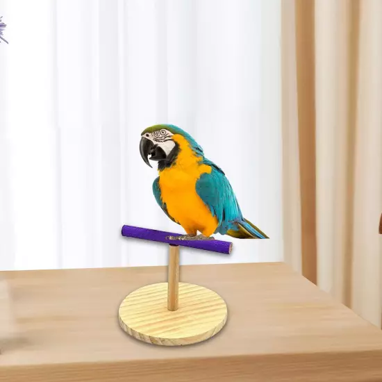 Bird Training Perch T Stand Tabletop Bird Stand for Parakeets Conures Finch