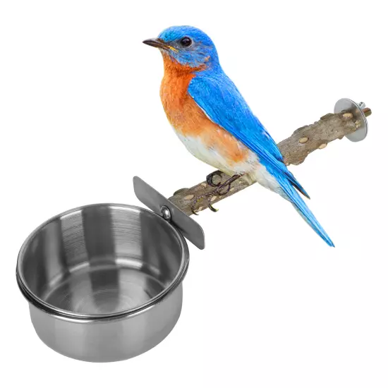 Parrots Stainless Steel Feeding Cups With Clamp Holder Birds Water Food Bowl AD5