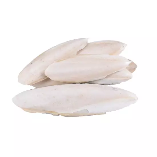 1 Bag Cuttlebone Cuttlefish Bone Sepia Cuttle Fish Food us Bird Pickstone Q7R9