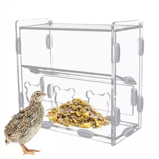 Parrot Feeder Box Acrylic Feeding Container No-Mess Multihole Food Box3861