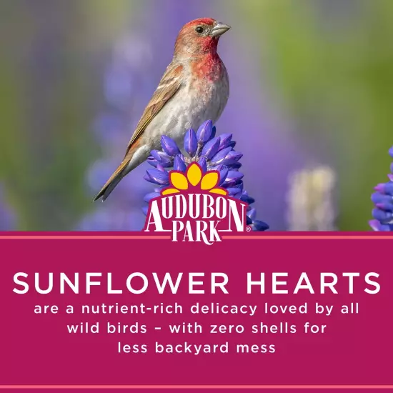 Sunflower Hearts Wild Bird Food, Dry, 15 lbs.