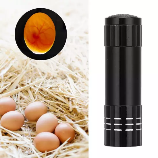 Egg Incubator Tester Candling Lamp 9 Light Bright Cold Hatching Poultry