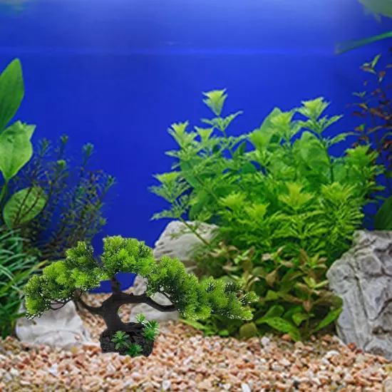 1* Artificial Fish Tank Simulation Water Plan U8R5