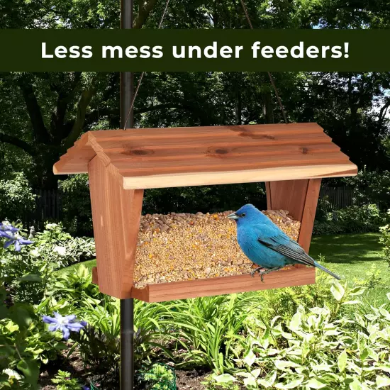 Wild Bird (No Mess or Waste Free) Food Seed Blend for Blue Jays, Woodpeckers, Ju