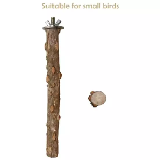 Bird Parrot Chew Bite Toys Claw Grinding Prickly Wood Play Stand Platform Cage