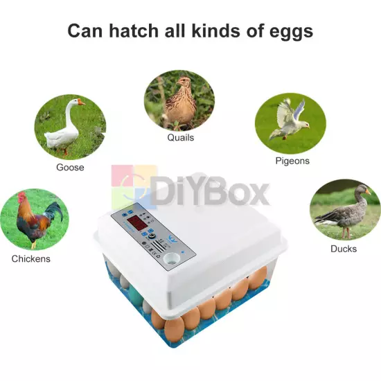 20/50Eggs Incubator Fully Automatic Brooder Chicken Poultry Quail Bird Hatcher