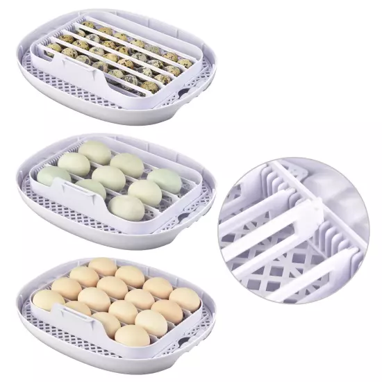 16 Egg Incubator Digital Control Automatic Turning Humidity Chicken Temperature