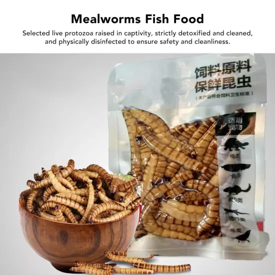 Reptile Mealworms Food Natural Fish Mealworms Fodder For Reptiles Tort AD5