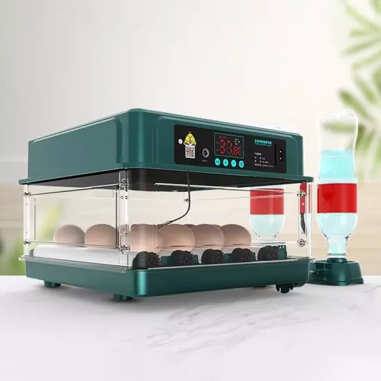 Electric 10/12/24/38 Egg Incubator Auto Turning Egg Bird Poultry Eggs Incubation