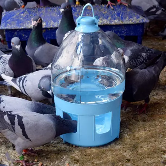 Bird Feeding Pigeons Feeder Water 2L Plastic Pet Drinker Dispenser Pot Container