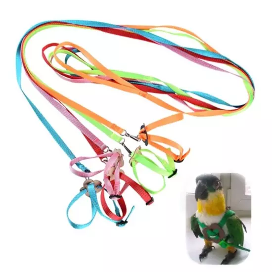 Bird Harness Leash Parrot Flying Rope Comfortable Adjustable Training Ropes