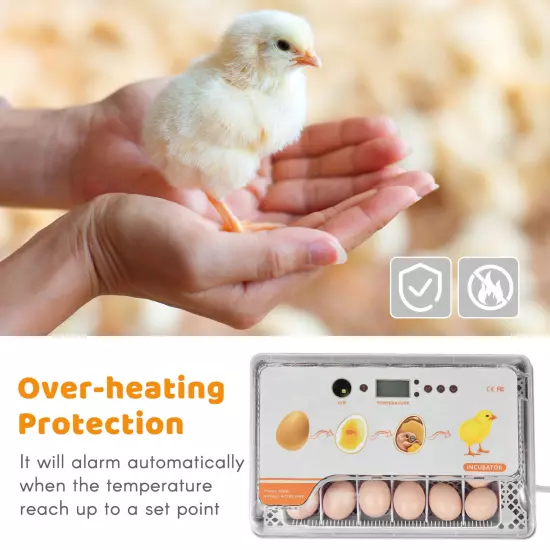 Digital Incubator 20 Eggs Poultry Hatcher with Auto Turning W6R6