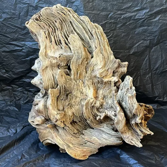 XL Pine Wood Driftwood Terrarium Crafts Art Wood Home Decor Taxidermy