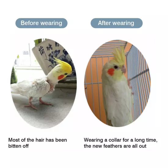 Parrot Protection Cone Neck Birds Elizabethan Collar Recovery Collar Bird Cloak