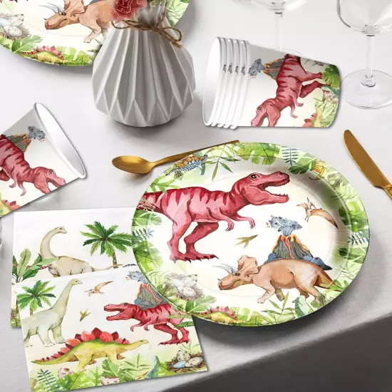 Dinosaur Birthday Party Supplies Jurassic Dinosaur Theme Tableware Included