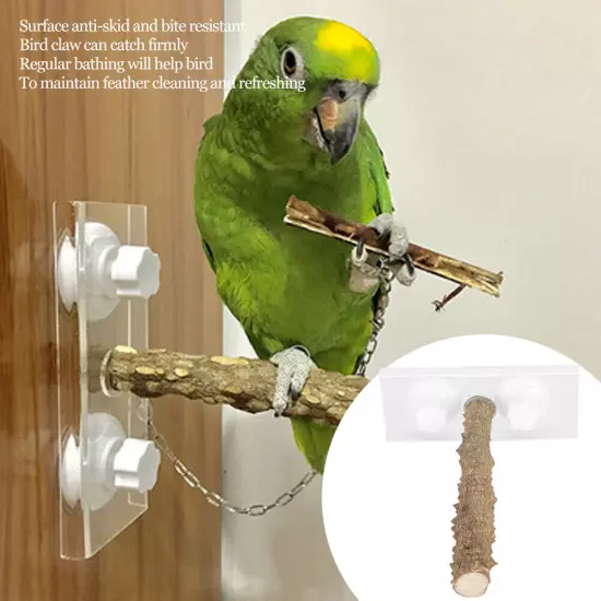 25CM Parrots Outdoor Portable Wood Standing Rod Pet Bird Shower Perch With