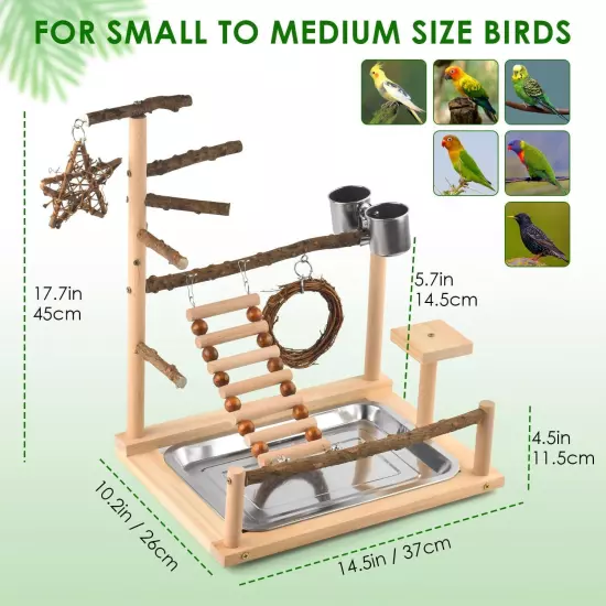 KATUMO Bird Playground Perch Stand Natural Parrot Playstand 