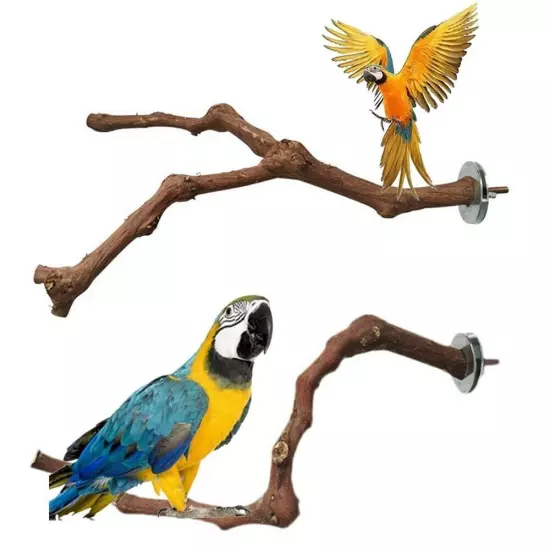 Platform Stand Parrot Wooden Branch Bird Hanging Toys Wood Parrot Bird Stand