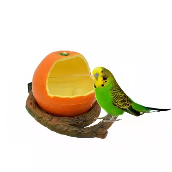 Parrot Feeding Box Artificial Fruit Branch Feeding Accessories Supplies