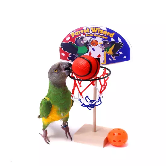 Birdie Basketball - Teach Your Parrot to Play Basketball Trick Training Toy