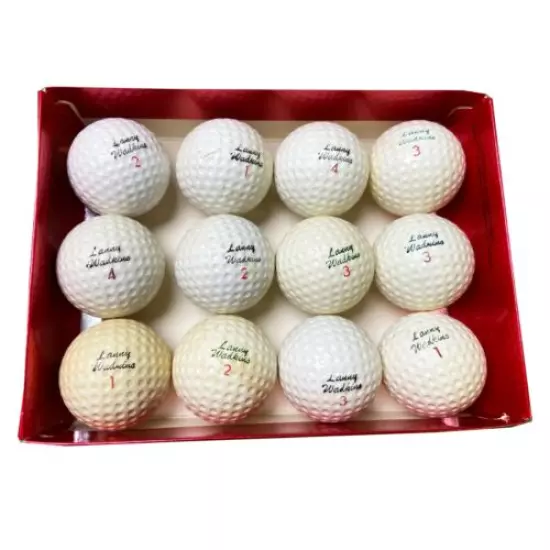 1 Dozen Assorted Vintage Lenny Wadkins Signature Golf Balls