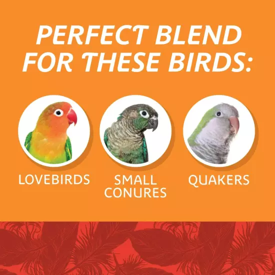 Pennington Medium Bird Everyday Blend Bird Food for Cockatiels 3 Lb Bag, 1 Pack